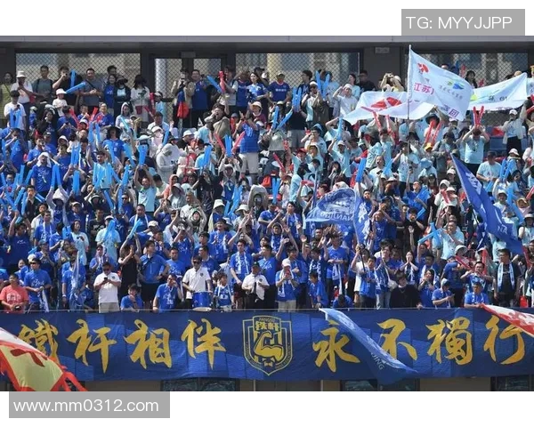 南京极限运动队运营分析与发展策略探讨